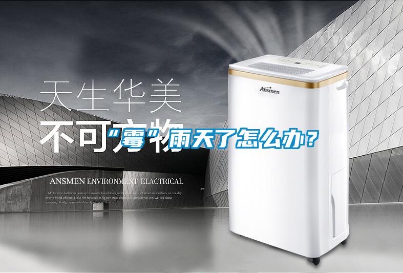 “霉”雨天了怎么辦？