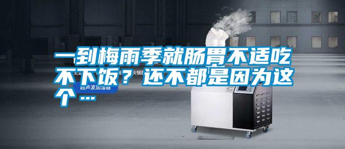 一到梅雨季就腸胃不適吃不下飯？還不都是因為這個…