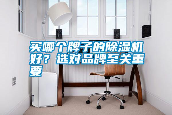 買哪個牌子的除濕機好？選對品牌至關(guān)重要