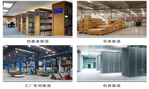 為什么竹筍烘干房需要除濕機？