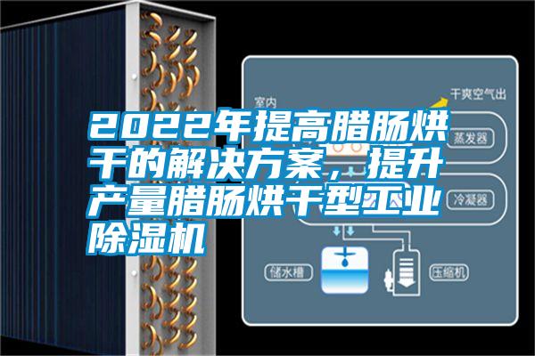 2022年提高臘腸烘干的解決方案，提升產(chǎn)量臘腸烘干型工業(yè)除濕機
