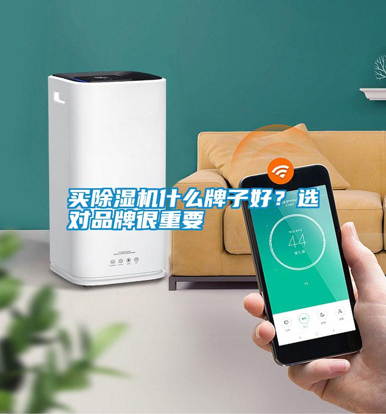 買除濕機什么牌子好？選對品牌很重要