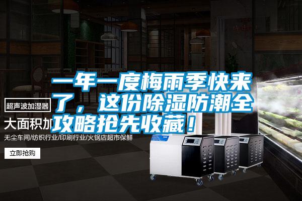 一年一度梅雨季快來了，這份除濕防潮全攻略搶先收藏！