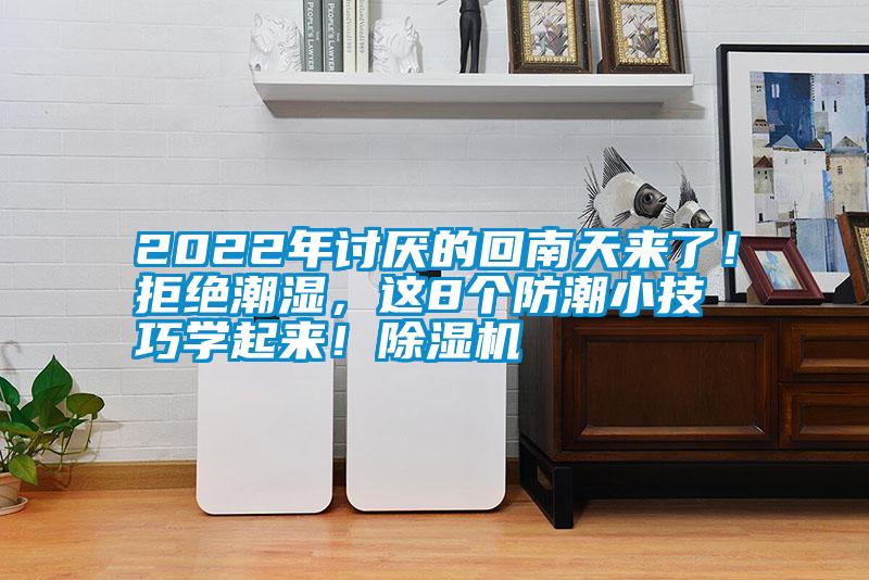 2022年討厭的回南天來了！拒絕潮濕，這8個防潮小技巧學起來！除濕機