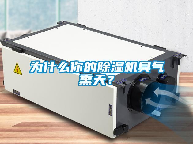 為什么你的除濕機臭氣熏天？