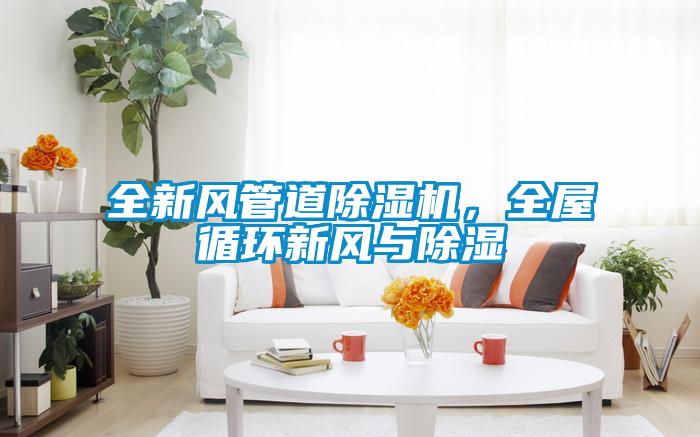 全新風管道除濕機，全屋循環(huán)新風與除濕