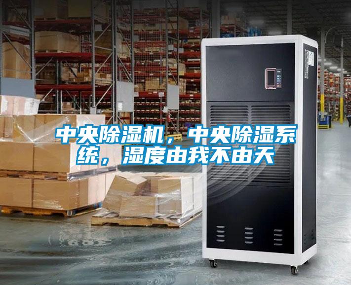 中央除濕機(jī)，中央除濕系統(tǒng)，濕度由我不由天
