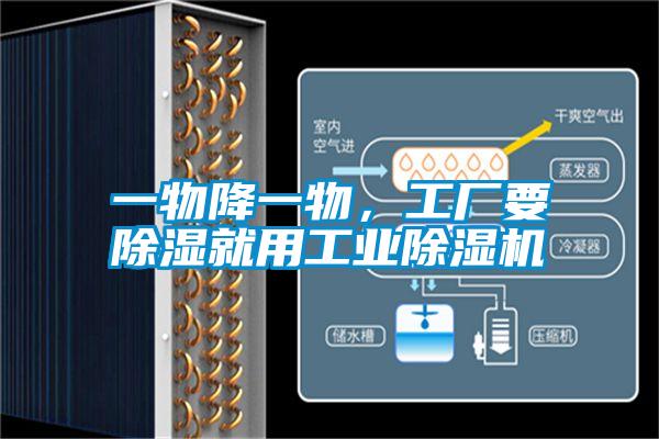 一物降一物，工廠要除濕就用工業(yè)除濕機