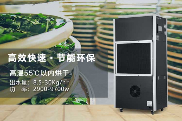 潮濕天氣來襲，螨蟲爆滿床！