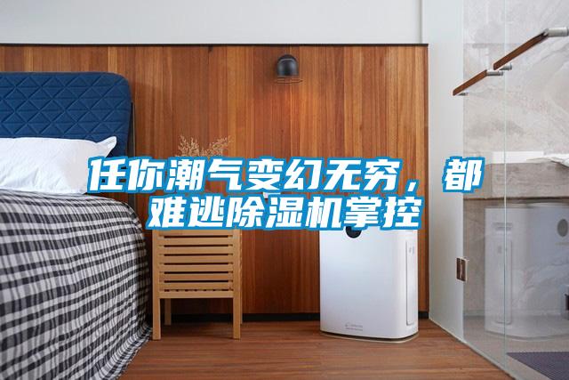 任你潮氣變幻無窮，都難逃除濕機掌控