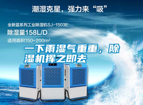 一下雨濕氣重重，除濕機(jī)揮之即去