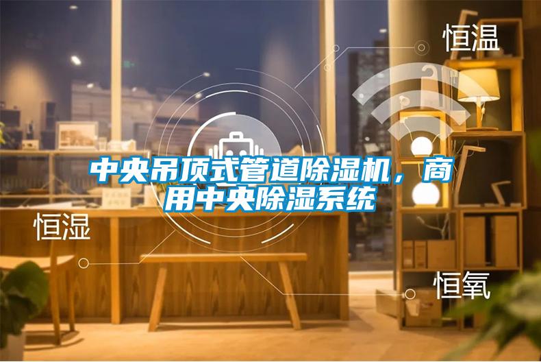 中央吊頂式管道除濕機，商用中央除濕系統(tǒng)