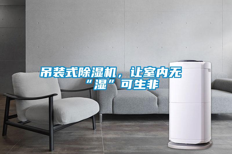 吊裝式除濕機，讓室內(nèi)無“濕”可生非