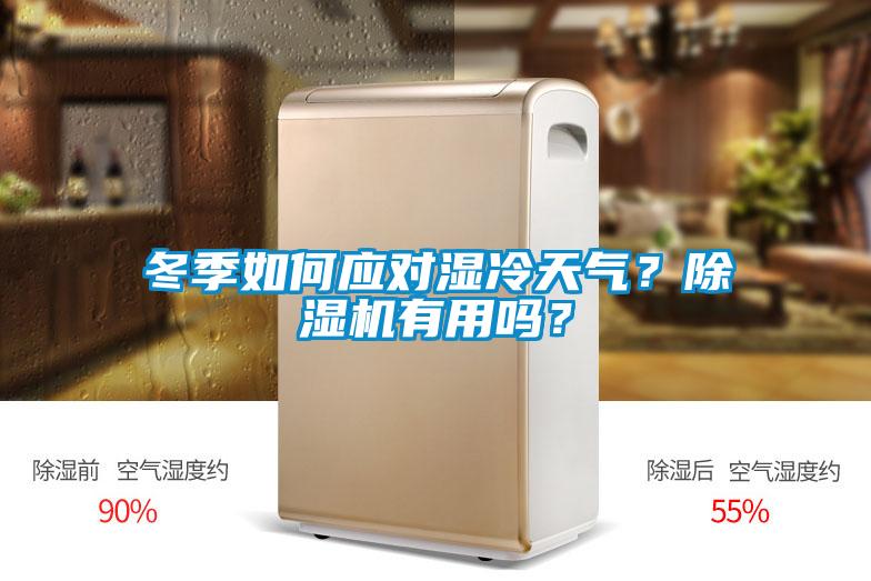 冬季如何應(yīng)對濕冷天氣？除濕機有用嗎？