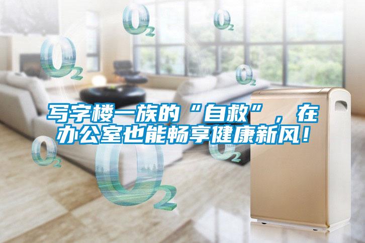 寫字樓一族的“自救”，在辦公室也能暢享健康新風！