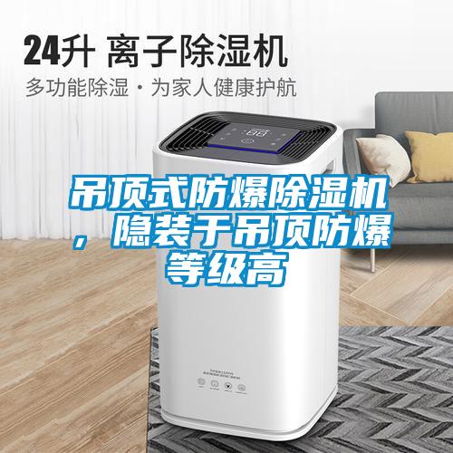 吊頂式防爆除濕機(jī)，隱裝于吊頂防爆等級高
