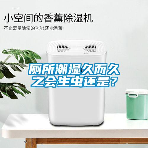 廁所潮濕久而久之會(huì)生蟲還是？