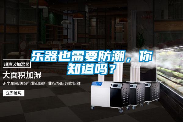 樂(lè)器也需要防潮，你知道嗎？