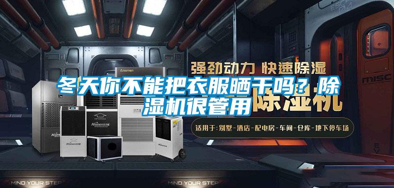 冬天你不能把衣服曬干嗎？除濕機(jī)很管用