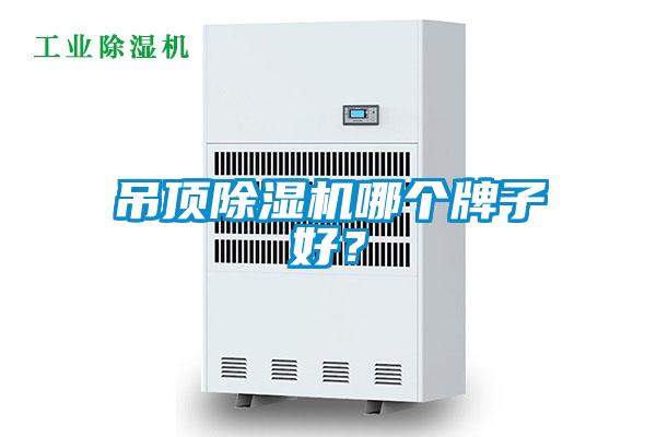 吊頂除濕機哪個牌子好？