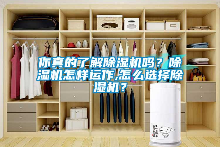 你真的了解除濕機(jī)嗎？除濕機(jī)怎樣運(yùn)作,怎么選擇除濕機(jī)？