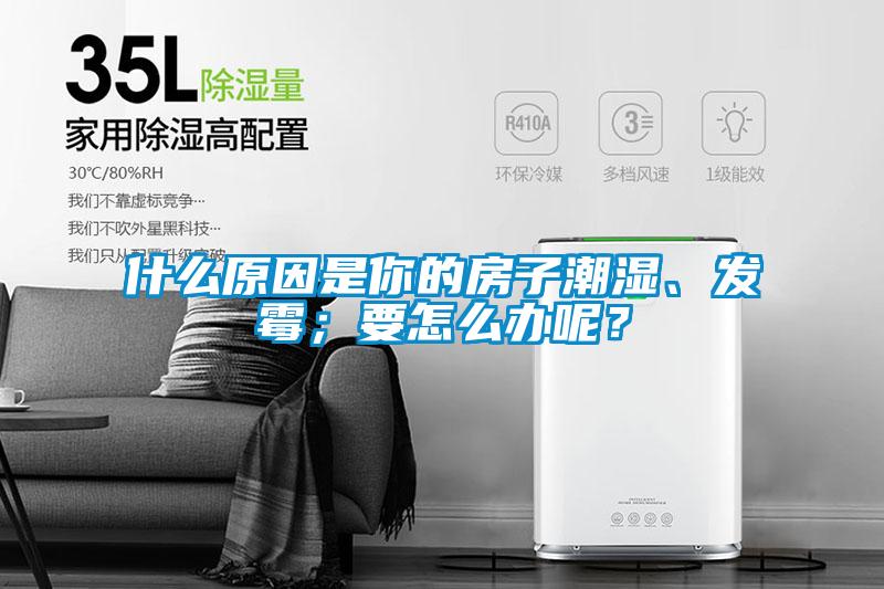 什么原因是你的房子潮濕、發(fā)霉；要怎么辦呢？