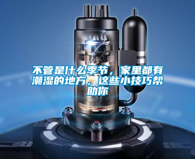 不管是什么季節(jié)，家里都有潮濕的地方，這些小技巧幫助你