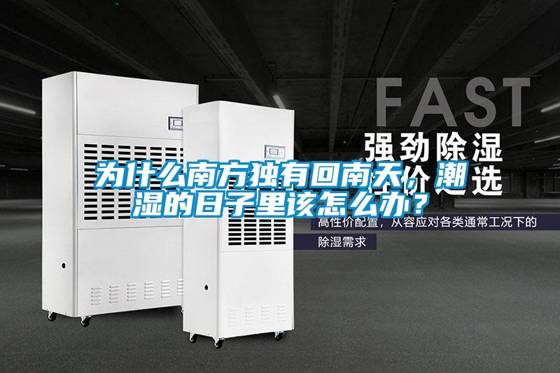 為什么南方獨(dú)有回南天，潮濕的日子里該怎么辦？