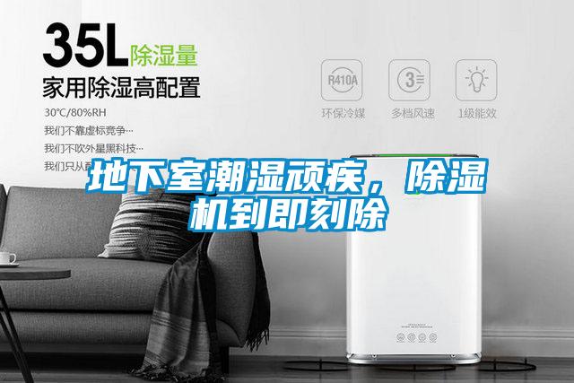 地下室潮濕頑疾，除濕機到即刻除