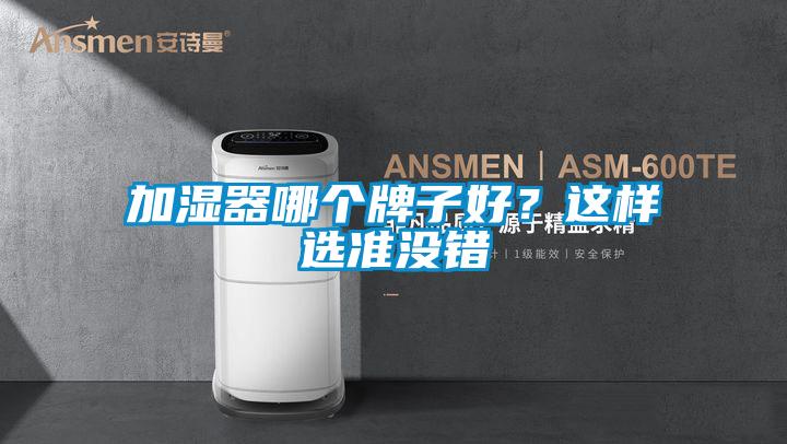加濕器哪個(gè)牌子好？這樣選準(zhǔn)沒錯(cuò)