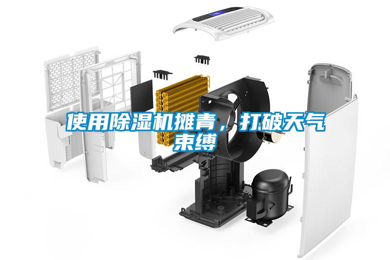 使用除濕機(jī)攤青，打破天氣束縛