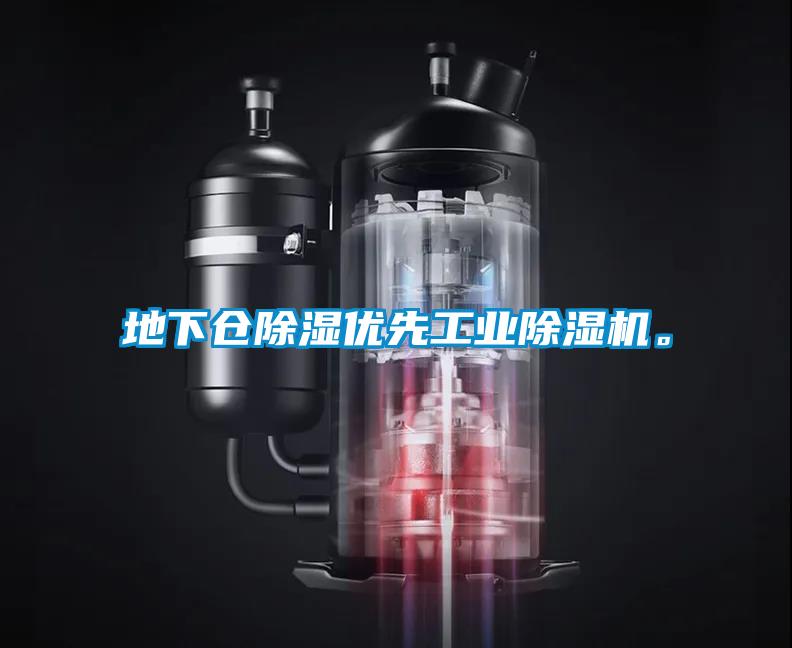 地下倉除濕優(yōu)先工業(yè)除濕機(jī)。
