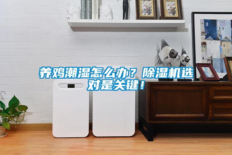 養(yǎng)雞潮濕怎么辦？除濕機(jī)選對(duì)是關(guān)鍵！