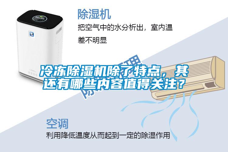 冷凍除濕機(jī)除了特點(diǎn)，其還有哪些內(nèi)容值得關(guān)注？