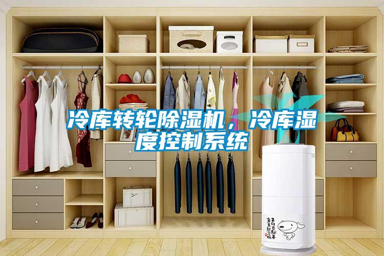 冷庫轉(zhuǎn)輪除濕機(jī)，冷庫濕度控制系統(tǒng)