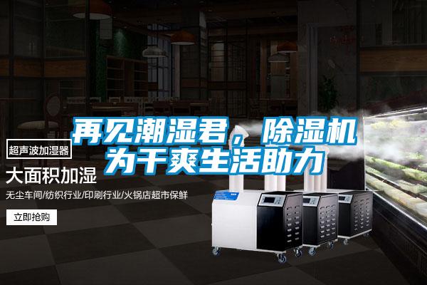 再見潮濕君，除濕機為干爽生活助力