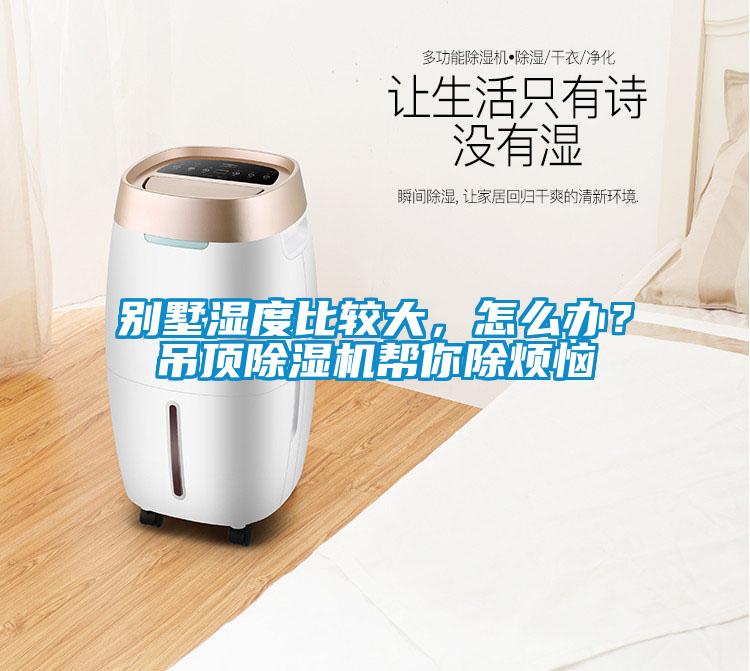 別墅濕度比較大，怎么辦？吊頂除濕機幫你除煩惱