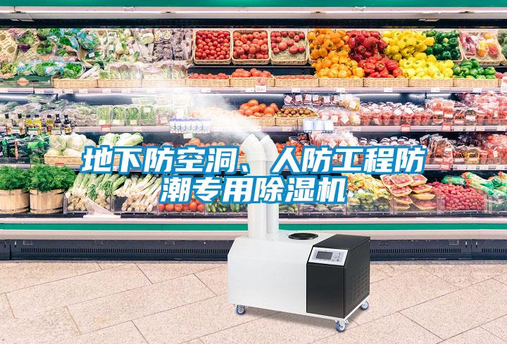 地下防空洞、人防工程防潮專用除濕機