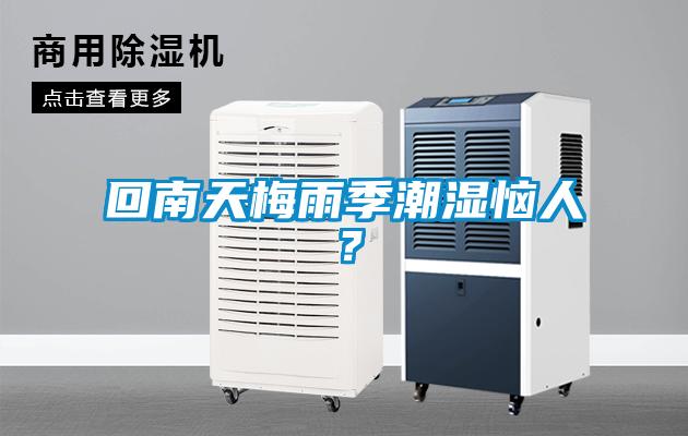 回南天梅雨季潮濕惱人？