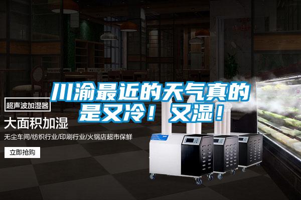 川渝最近的天氣真的是又冷！又濕！