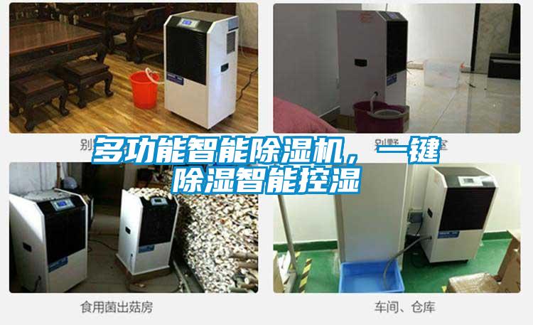 多功能智能除濕機(jī)，一鍵除濕智能控濕
