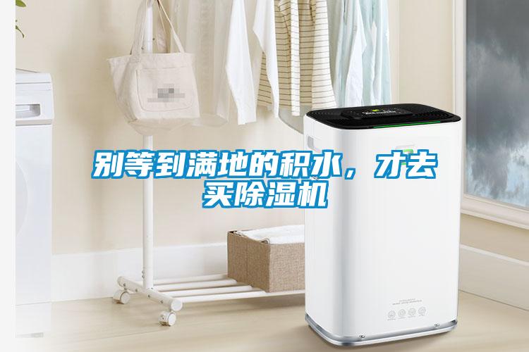 別等到滿地的積水，才去買除濕機