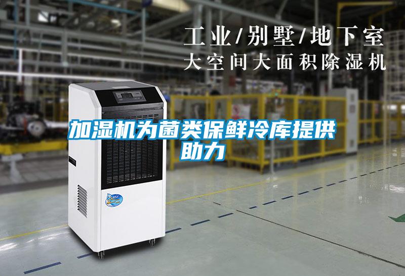加濕機(jī)為菌類保鮮冷庫提供助力