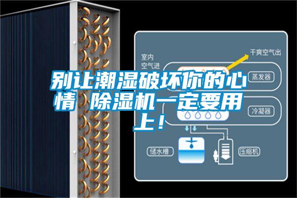別讓潮濕破壞你的心情 除濕機一定要用上！
