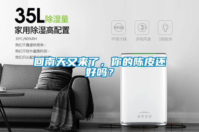 回南天又來(lái)了，你的陳皮還好嗎？