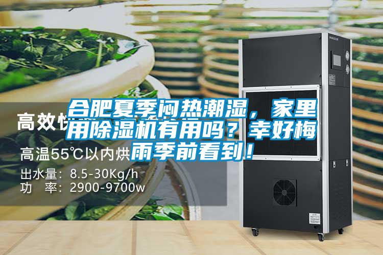 合肥夏季悶熱潮濕，家里用除濕機(jī)有用嗎？幸好梅雨季前看到！