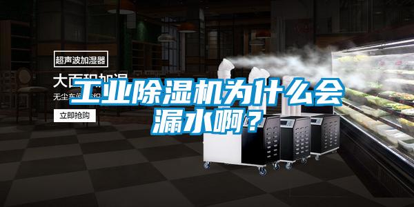 工業(yè)除濕機(jī)為什么會(huì)漏水啊？