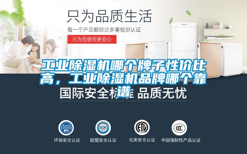 工業(yè)除濕機哪個牌子性價比高，工業(yè)除濕機品牌哪個靠譜
