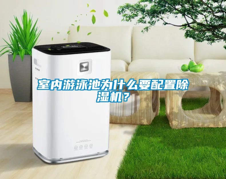 室內游泳池為什么要配置除濕機？