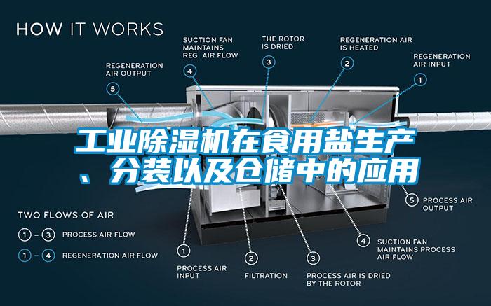 工業(yè)除濕機(jī)在食用鹽生產(chǎn)、分裝以及倉儲(chǔ)中的應(yīng)用